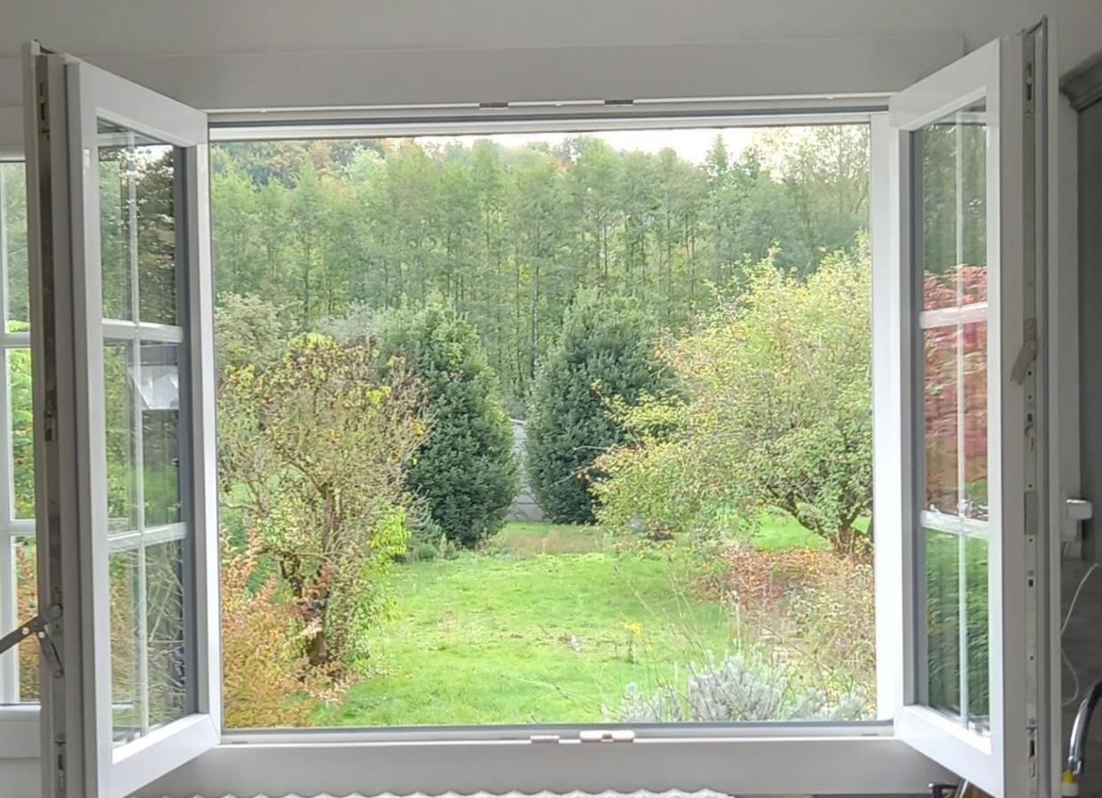 Au Bord Du Vilpion Apartment Marle-et-Behaine Екстериор снимка